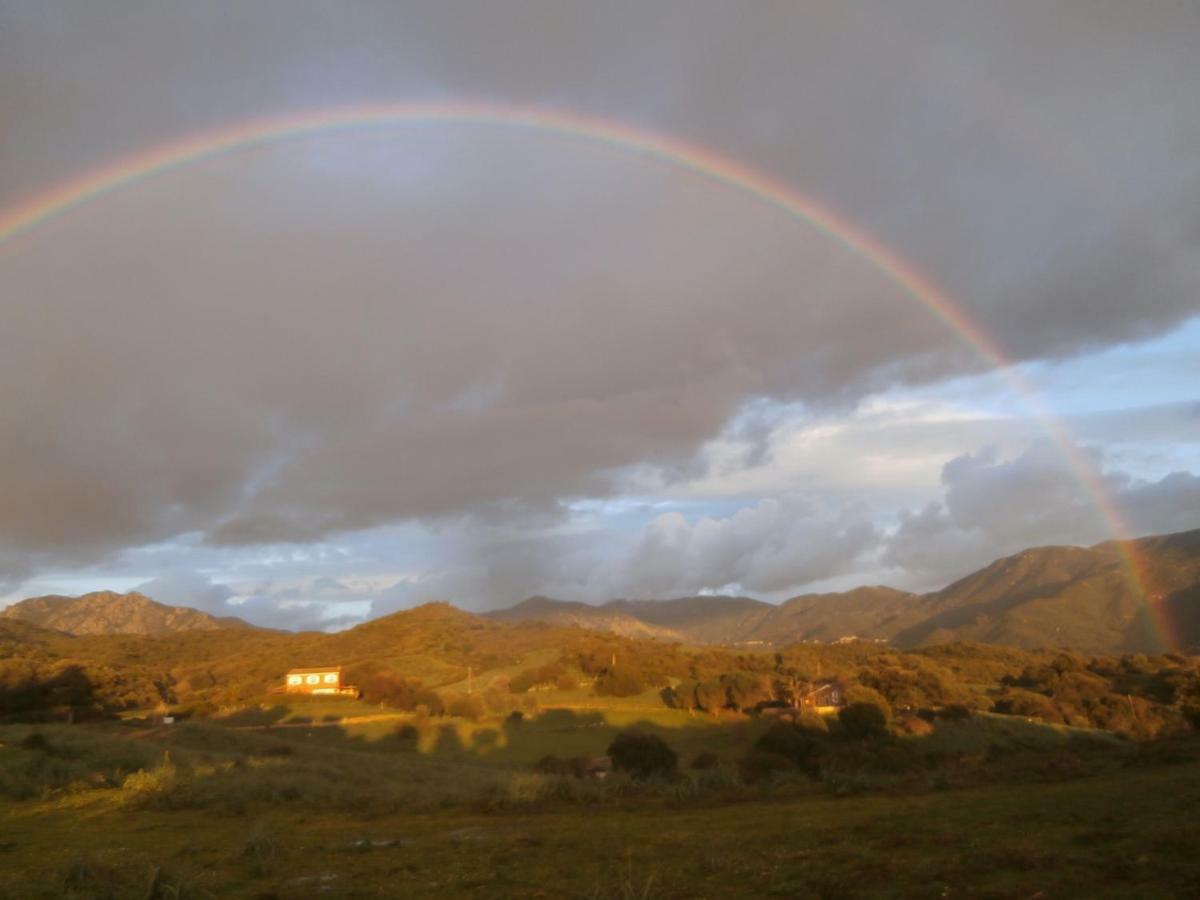 Nuit Calme Sur Domaine Lägenhet Calcatoggio  Exteriör bild
